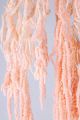 AMARANTHUS LIGHT PINK 40CM 110 GR PRE