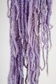 AMARANTHUS SAGE GREEN 40CM 110 GR PRE