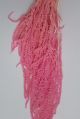 AMARANTHUS PINK 40CM 110 GR PRE