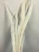 DATE PALM LEAVES BLEACHED 90CM 5 ST DRY