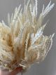 WHITE WILDFLOWER DRYANDRA FORMOSA BLEACHED 30CM 6 ST DRY