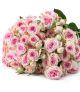 ROSES SPRAY DXE DINARA 50CM 10 ST