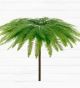FERN UMBRELLA 50CM 10 ST