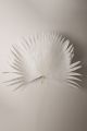 ANAHAW LEAVES MINI WHITE 40CM 5 ST PRE